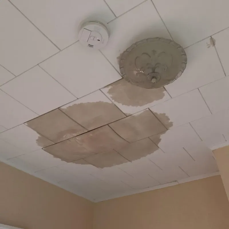 Ceiling Water Damage Repair in Twin City, GA