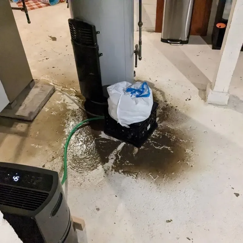 Sewage Backup Cleanup Service in Twin City, GA